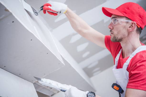 Best Drywall Installation  in Schriever, LA